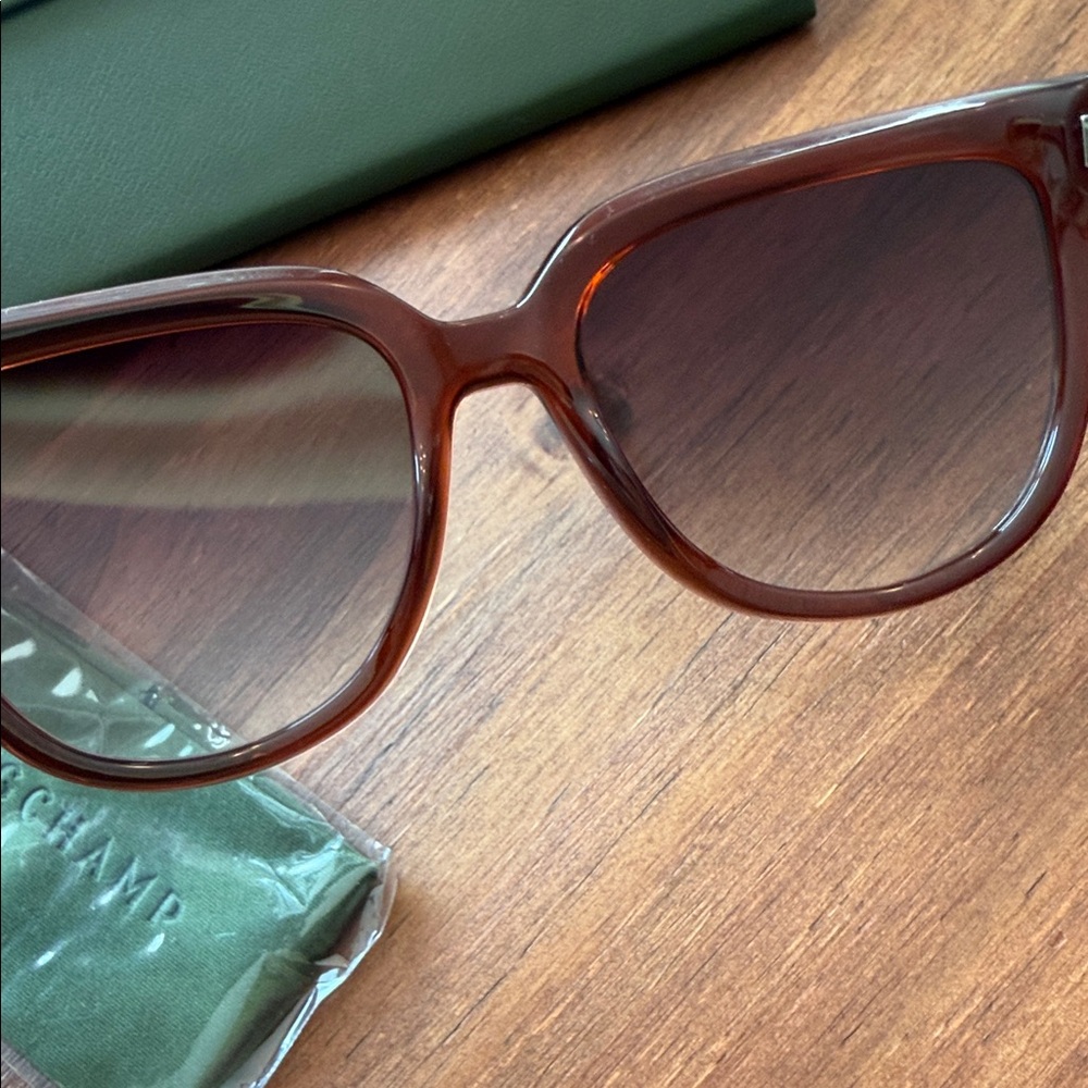 Longchamp Transparent Rust Sunglasses - image 3